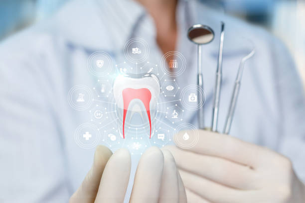 Normal, IL Holistic Dental Care Services Company